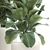 Exotic Plant Collection: Decorative Indoor & Outdoor Plants in Concrete Pots 3D model small image 6