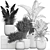 Exotic Plant Collection: Decorative Indoor & Outdoor Plants in Concrete Pots 3D model small image 7