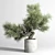 Concrete Bonsai Vase - Outdoor Plant Pot 3D model small image 1