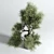 Concrete Bonsai Vase - Outdoor Plant Pot 3D model small image 2