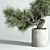 Concrete Bonsai Vase - Outdoor Plant Pot 3D model small image 3