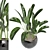 Green Oasis - Indoor Plants Set 3D model small image 2