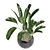 Green Oasis - Indoor Plants Set 3D model small image 4