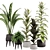 Green Oasis Indoor Plant Set 3D model small image 1