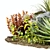 Versatile Outdoor Plant Set for All Your Needs 3D model small image 4