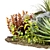 Versatile Outdoor Plant Set for All Your Needs 3D model small image 11