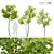 3m Young Oak Trees - Set of 3 3D model small image 1