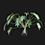 Title: Tropical Vibes: Philodendron Xanadu 3D model small image 5