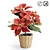 FEJKA Christmas Star: Lifelike Artificial Plant for Home or Outdoor Use 3D model small image 1