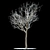 Snow-Covered Rowan Tree 3D model small image 1