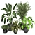 Green Oasis - Indoor Plants Collection 3D model small image 1