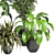 Green Oasis - Indoor Plants Collection 3D model small image 2