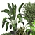 Green Oasis - Indoor Plants Collection 3D model small image 3