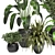 Green Oasis - Indoor Plants Collection 3D model small image 4