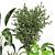 Green Oasis - Indoor Plants Collection 3D model small image 5