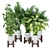 Elegant Indoor Plant Collection 3D model small image 1