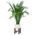 Elegant Indoor Plant Collection 3D model small image 5