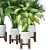 Elegant Indoor Plant Collection 3D model small image 6