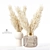 Elegant Pampas Plant Decor 3D model small image 1