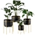 Indoor Houseplants Set: Natural Greenery for Your Home 3D model small image 1