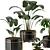 Indoor Houseplants Set: Natural Greenery for Your Home 3D model small image 2