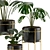 Indoor Houseplants Set: Natural Greenery for Your Home 3D model small image 3