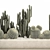 Exotic Cacti Collection 3D model small image 4