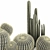 Exotic Cacti Collection 3D model small image 5