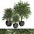 Lush Indoor Plants Collection - Set 194 3D model small image 1