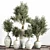 Versatile Indoor Plant Stand 3D model small image 4