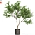 Exquisite Plant Collection: 621 3D model small image 1