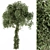 Maple Ivy Trunk - Set 61 3D model small image 1