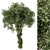 Maple Ivy Trunk - Set 61 3D model small image 2
