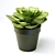 FEJKA FAKE Succulent Plant 3D model small image 3