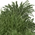Outdoor Bush Plants Set 197 | 3dsMax + Vray/Corona 3D model small image 3
