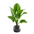 Giant Taro: Tropical Beauty for Indoors 3D model small image 1
