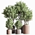 Lush Indoor Plant Set 74 3D model small image 1