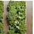 Vertical Garden Wood Frame Wall Decor 3D model small image 4