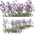 Purpletop Vervain Trio - 3 Verbena bonariensis Plants 3D model small image 3