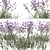 Purpletop Vervain Trio - 3 Verbena bonariensis Plants 3D model small image 5