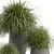 Outdoor Oasis Collection - 200 Stunning Plants 3D model small image 5