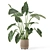  Rusty Concrete Pot Indoor Plants - Set 437 3D model small image 5