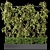 Green Wall - Outdoor Vertical Garden 3D model small image 8