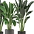 Indoor Greenery Collection - Set 201 3D model small image 3