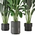 Indoor Greenery Collection - Set 201 3D model small image 4