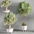 Sleek Indoor Plant for Decor 3D model small image 9