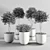 ProPlants: Optimal Collection 3D model small image 2