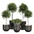 ProPlants: Optimal Collection 3D model small image 4