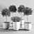 ProPlants: Optimal Collection 3D model small image 5