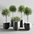 ProPlants: Optimal Collection 3D model small image 6